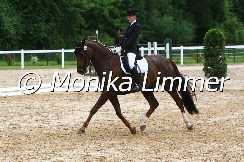 006M4498_Dressur L.JPG